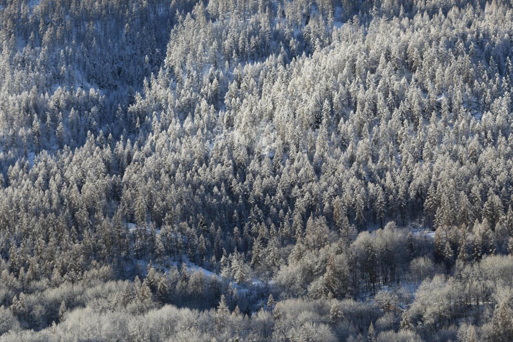 Maison De Montagne Serre Chevalier サン・シャフレ エクステリア 写真